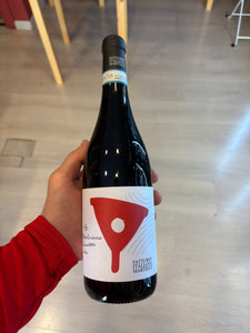 Fattoria Martelli Montepulciano d’Abruzzo 2022